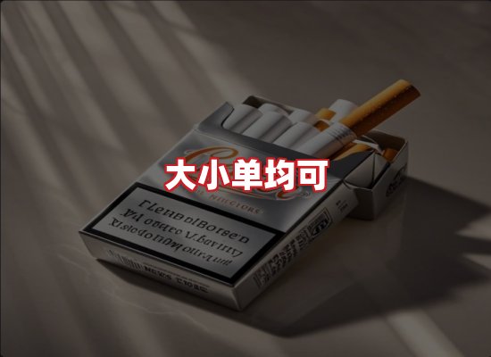 专业团队